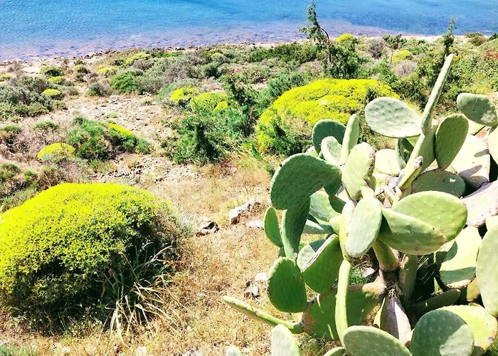 Cap Sounion Seafront Apartments
