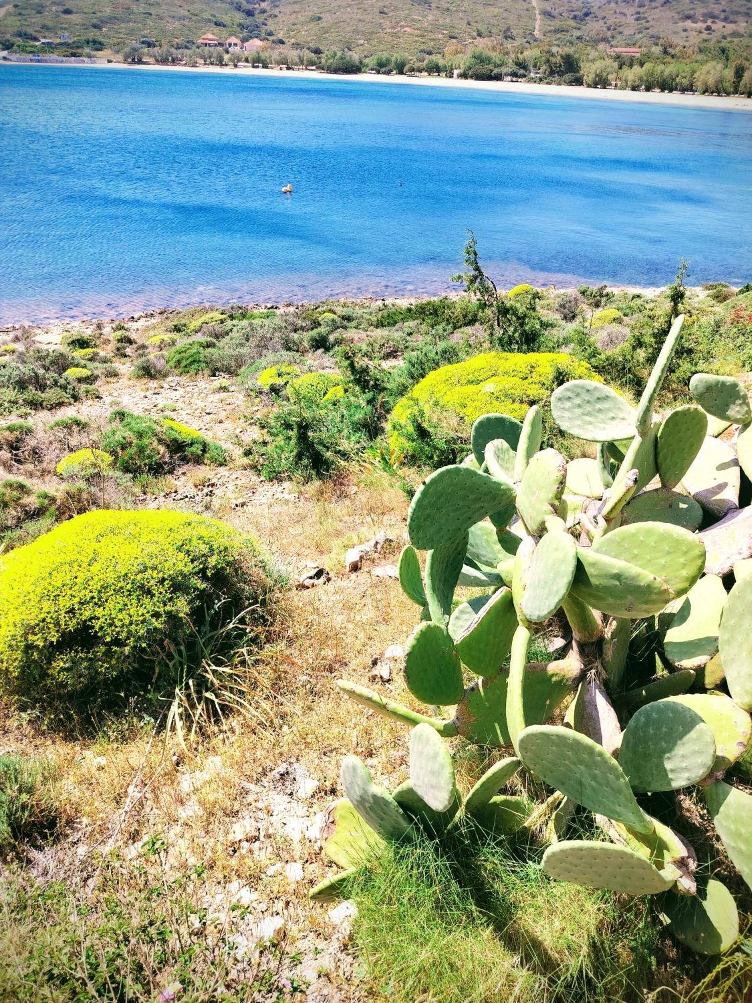Cap Seafront * Sounion