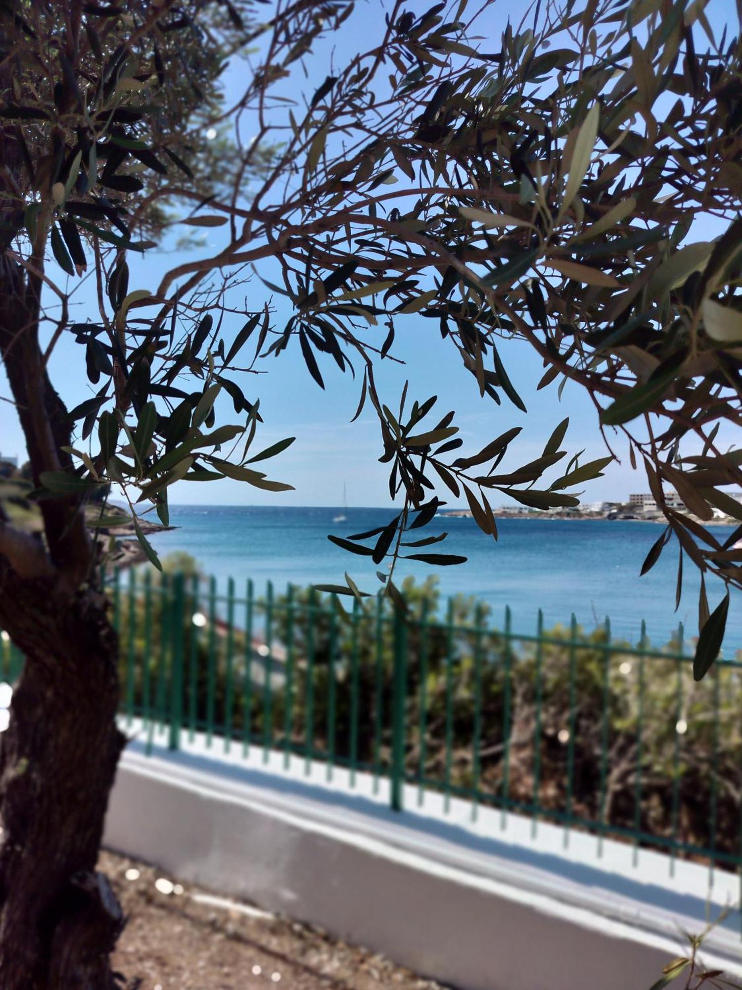 Cap Seafront - Adults Only Sounion
